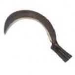 roncola pertica 95074